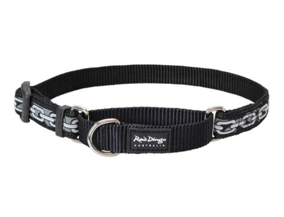 Red Dingo obojek polostahovací se vzorem 41 - 62 cm - Chain