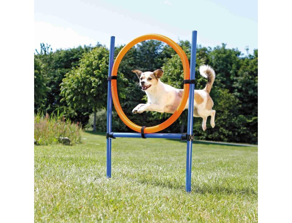 TRIXIE AGILITY kruh proskakovací