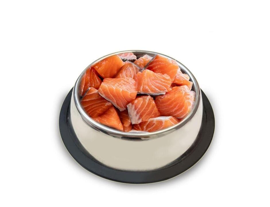 SOKOL FALCO Losos ořez 500g