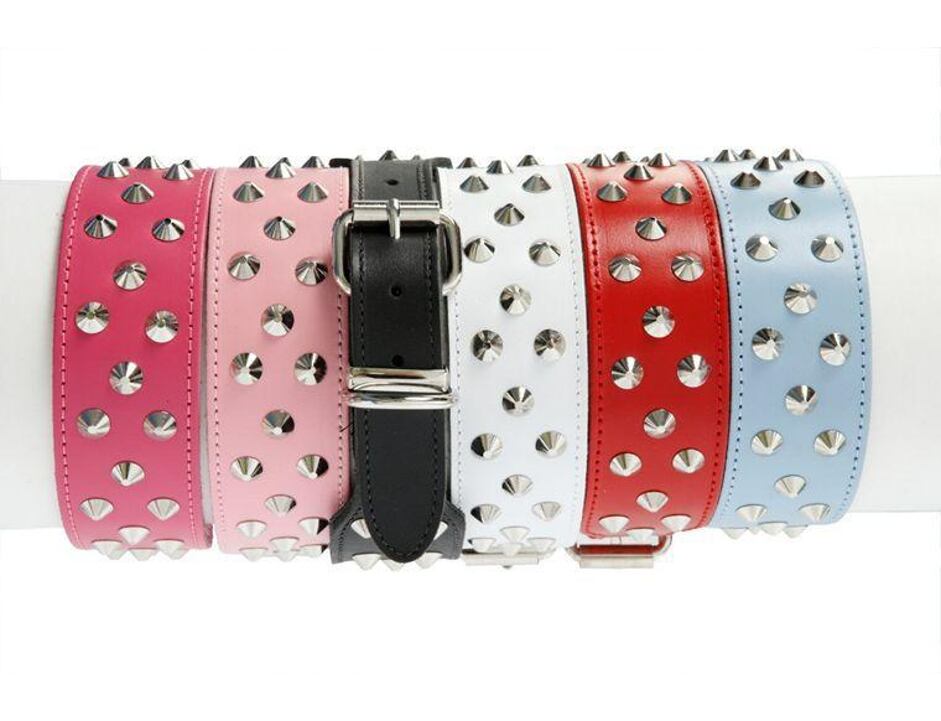 DOGUE Stud Muffin obojek 50 cm