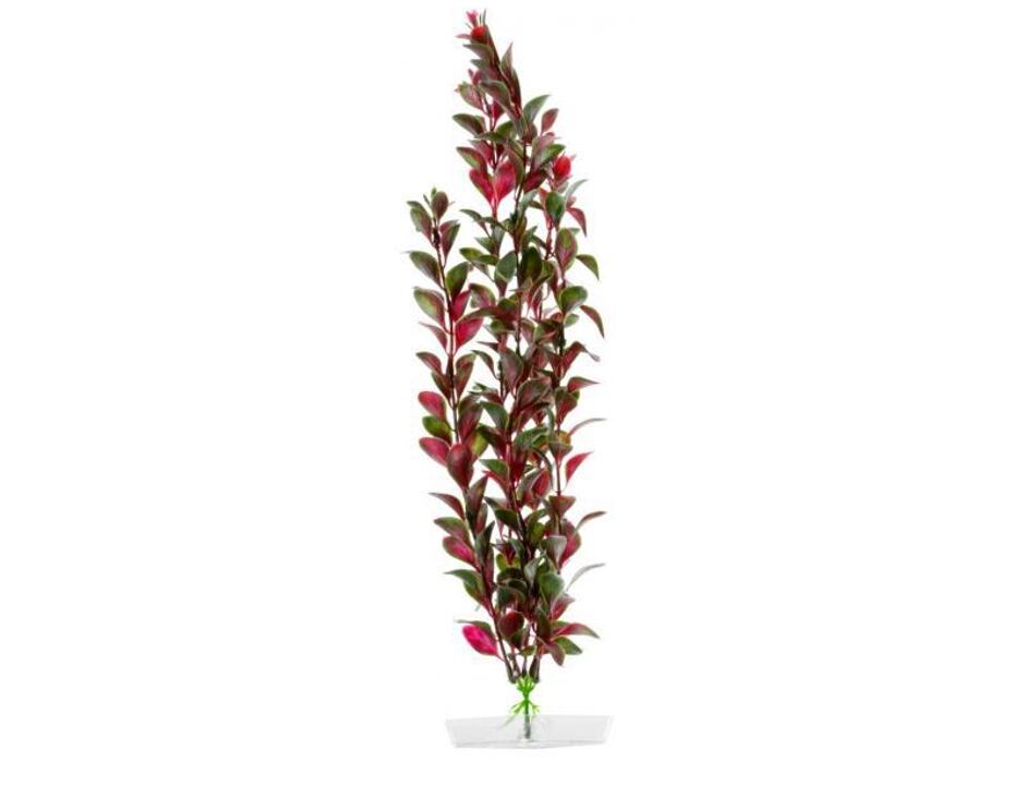 JK AQUARIUM akvarijní rostlinka - Red Ludwigia velká