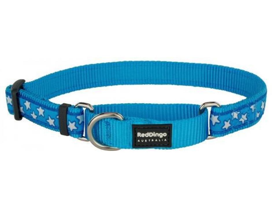 Red Dingo obojek polostahovací se vzorem 41 - 62 cm - Stars White on Turquoise