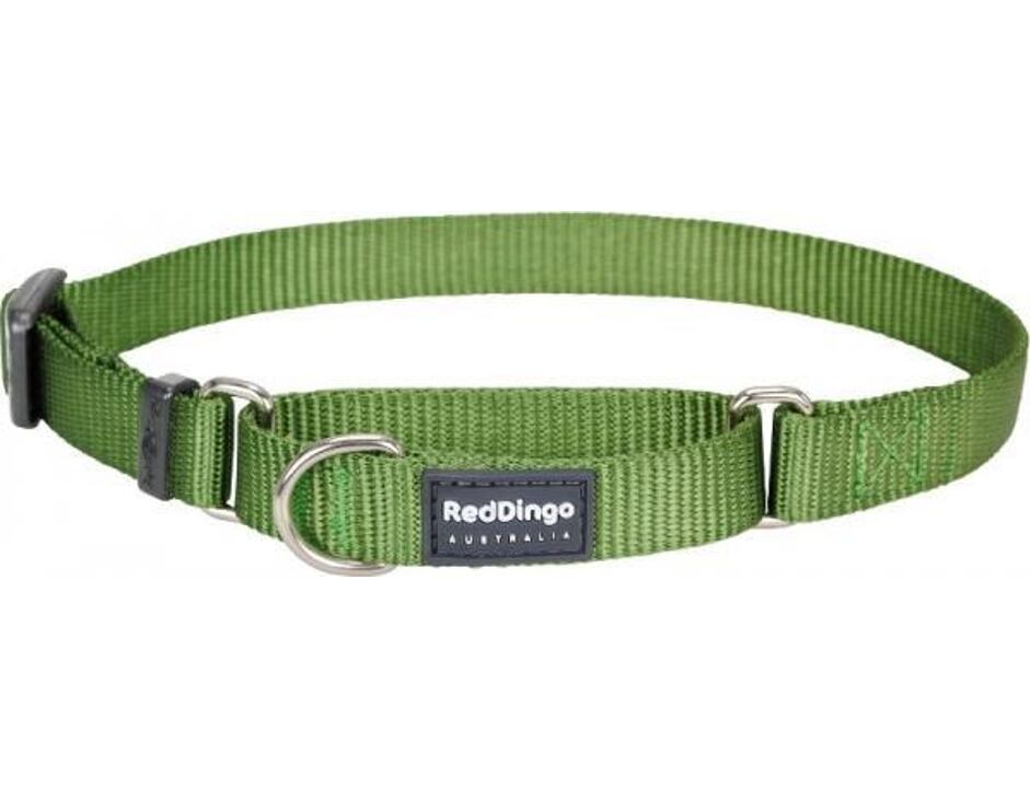Red Dingo obojek polostahovací 30 - 44 cm - Zelený