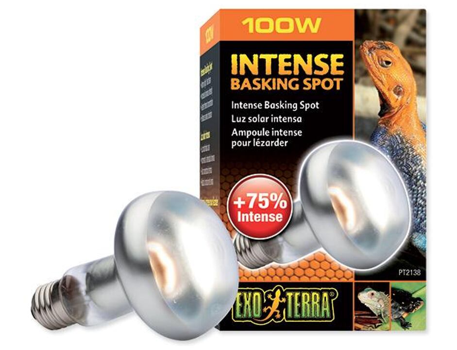 Žárovka EXO TERRA Intense Basking Spot (100W)