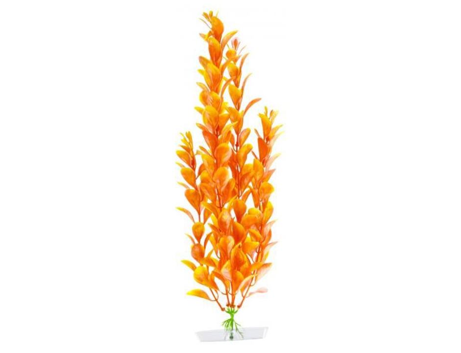 JK AQUARIUM akvarijní rostlinka - Orange Ludwigia střední