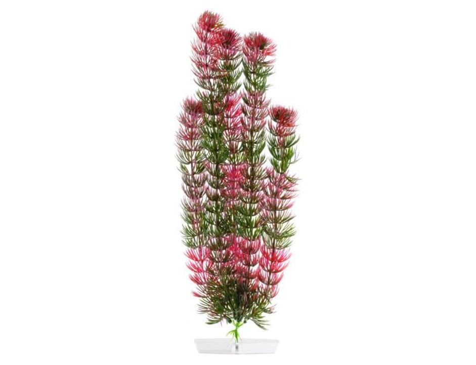 JK AQUARIUM akvarijní rostlinka - Red Anacharis velká