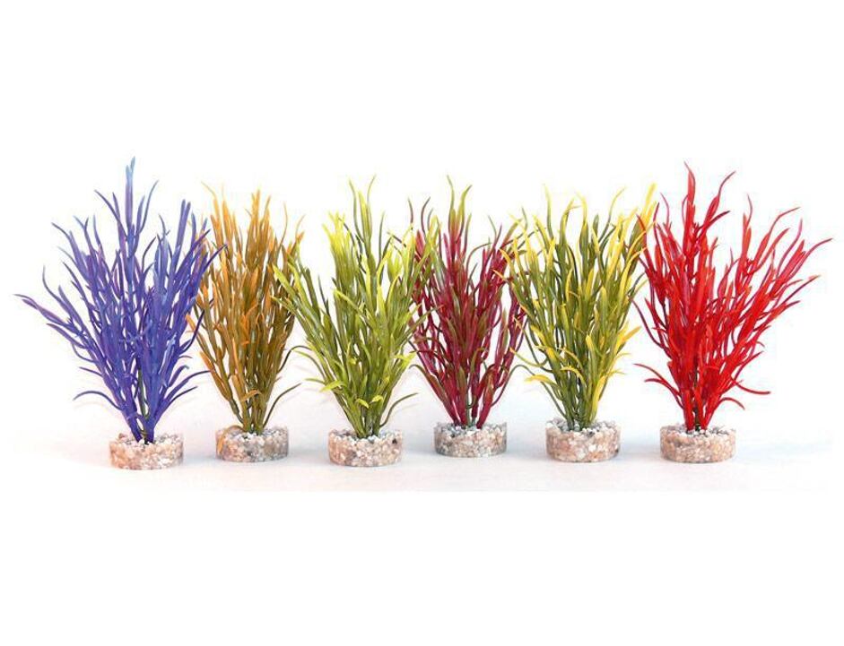 Sydeco Sea Grass Baby 16 cm mix