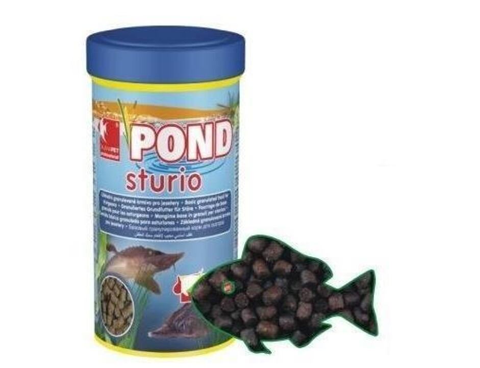Dajana Pond Sturio 1000ml