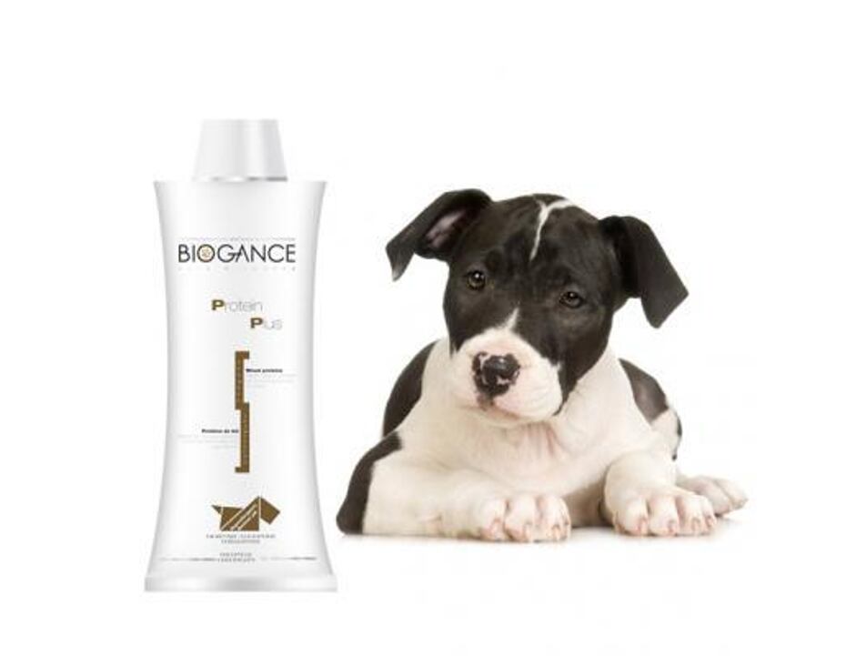 Biogance šampon Protein plus - vyživující 250 ml