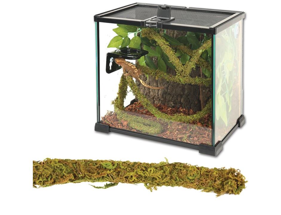 ReptiZoo Jungle Vines Liána s mechem