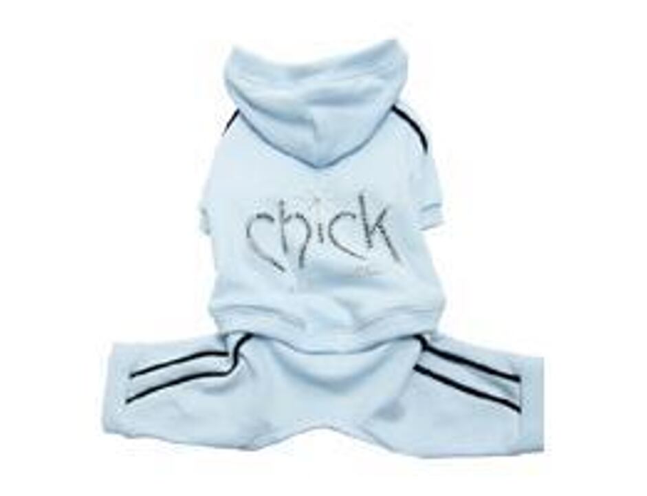 Puppy Angel Chick PA oblek - modrý