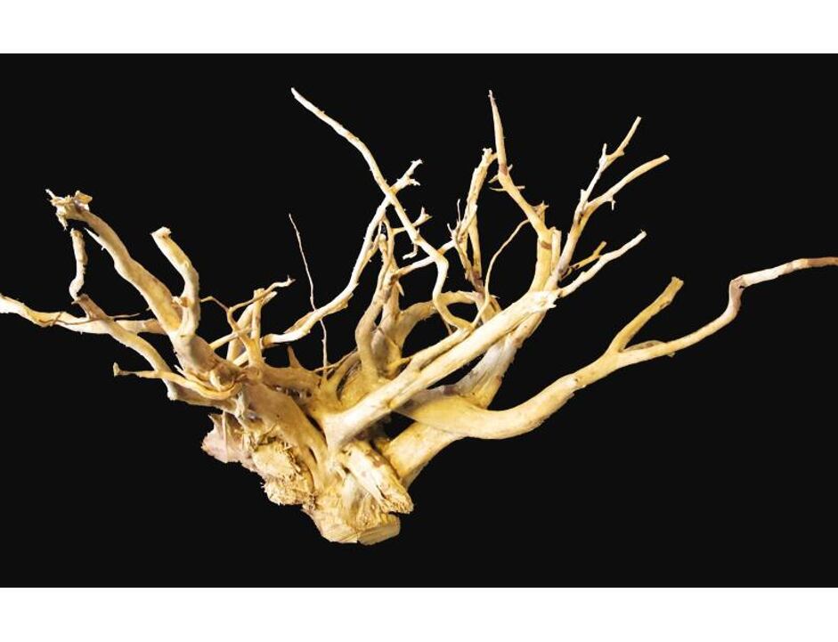 Kořen Stoffels Spiderwood střední 30 cm