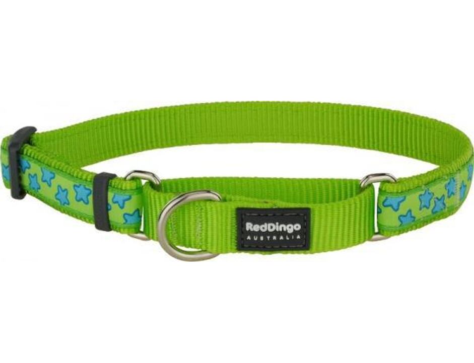 Red Dingo obojek polostahovací se vzorem 41 - 62 cm - Stars Turquoise on Lime Green