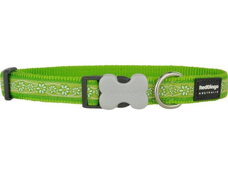 Red Dingo obojek se vzorem 24 - 37 cm, šířka 15 mm - Daisy Chain Lime