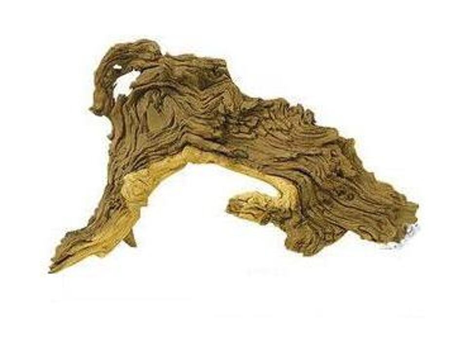 Dekorace Tropical wood M