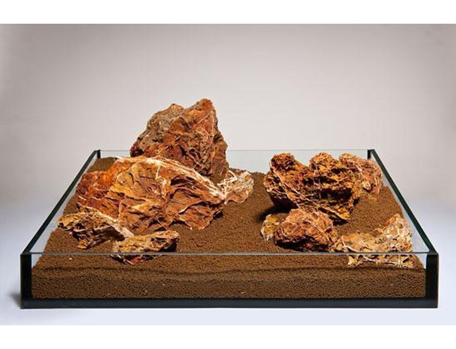 Maple Leaf Rock M