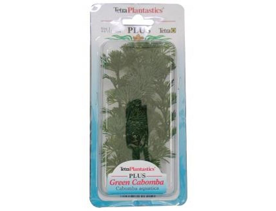 Rostlina Green Cabomba Plus 23 cm