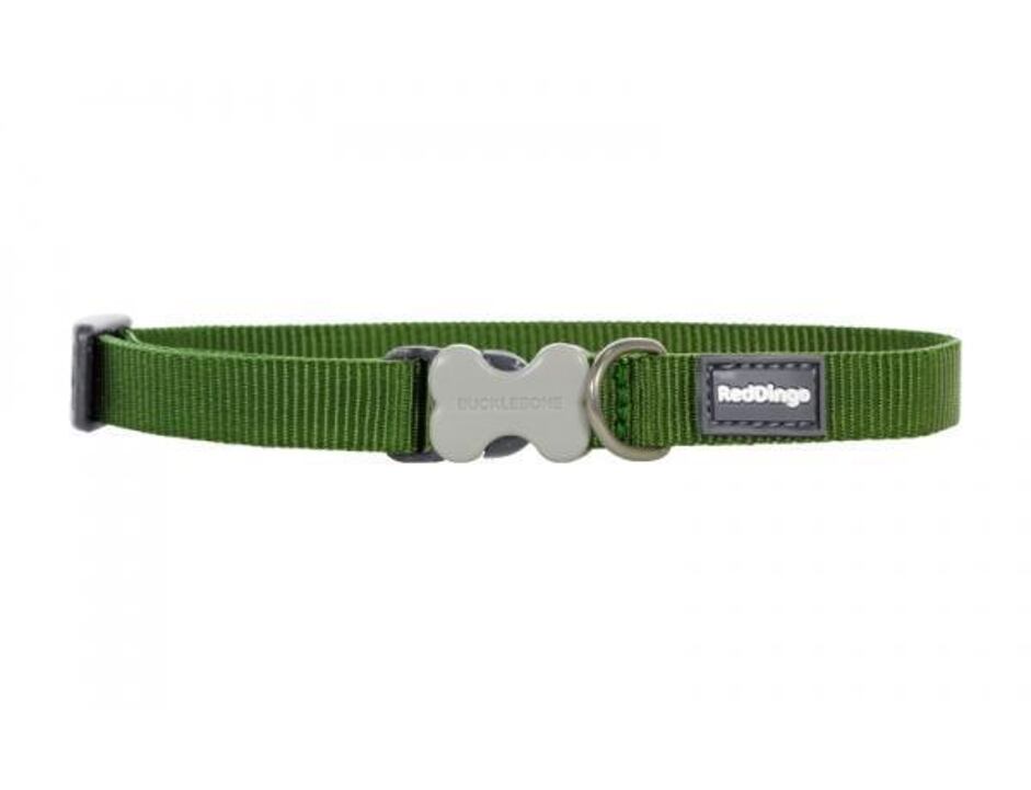 Red Dingo obojek jednobarevný 20 - 32 cm, šířka 12 mm - zelená