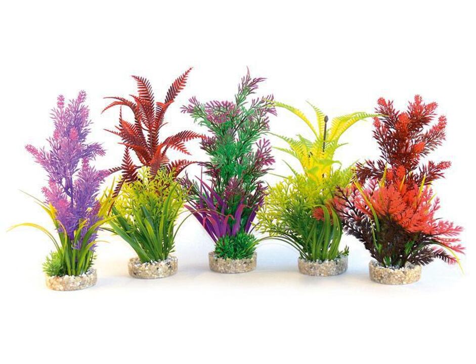 Sydeco Aquaplant Colour Medium 26 cm mix