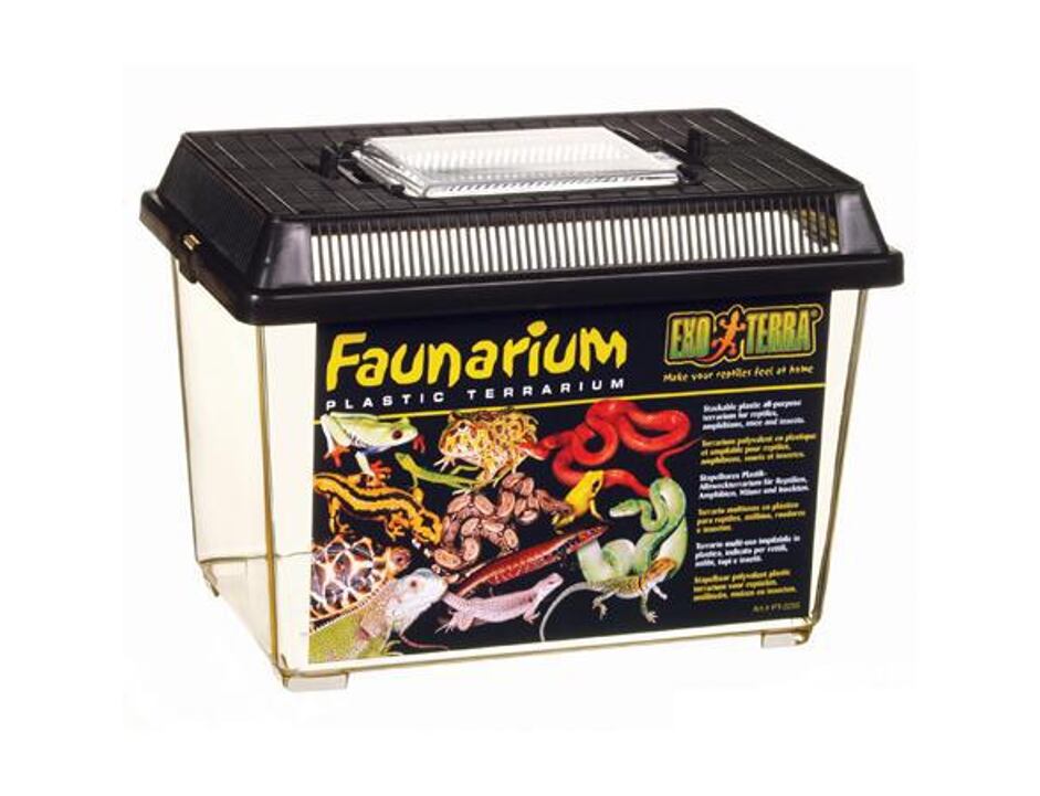 Faunarium malé