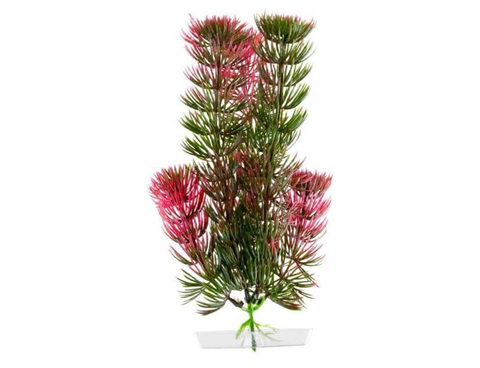 JK AQUARIUM akvarijní rostlinka - Red Anacharis mini