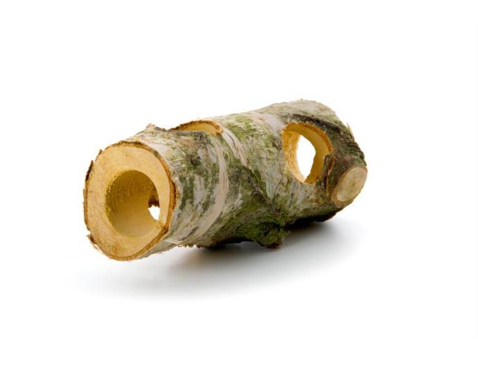Tunel z břízy 15 cm