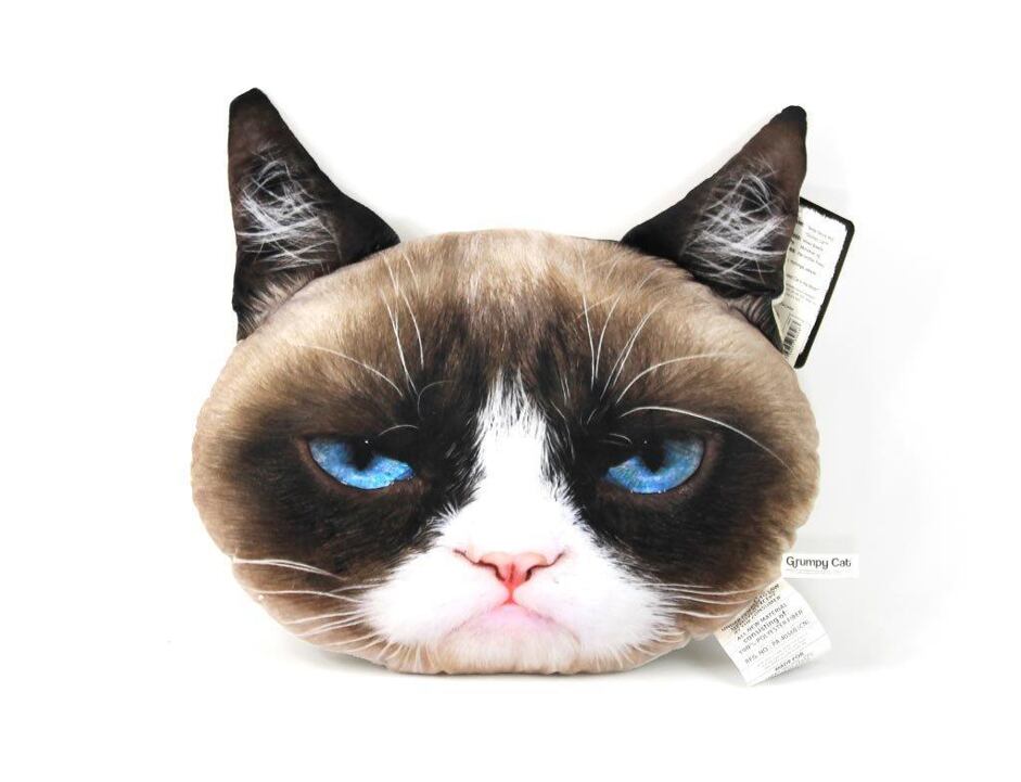 Polštář 3D Grumpy Cat