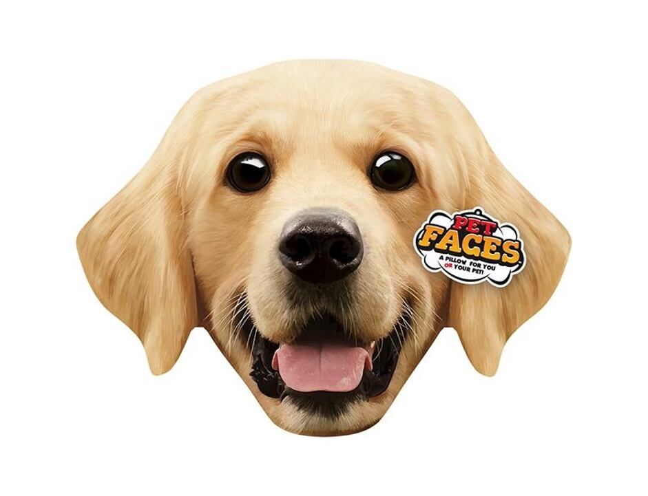 Polštář 3D Golden Retriever