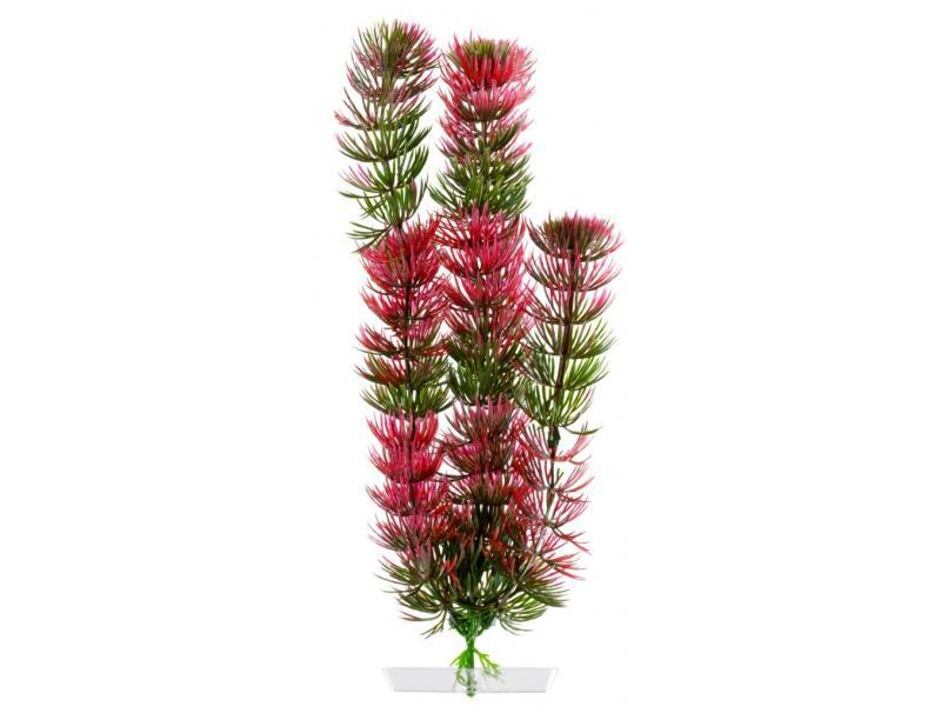 JK AQUARIUM akvarijní rostlinka - Red Anacharis střední