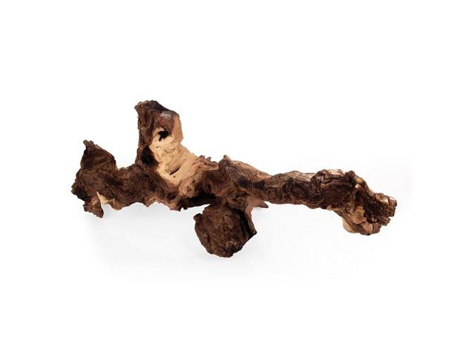 Kořen Mopani XXL