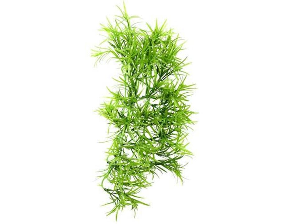 Climber Tropica - závěsná 37 cm