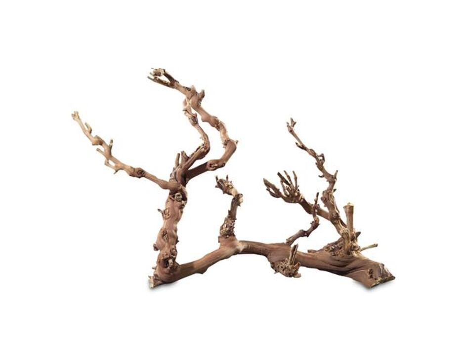 Kořen Jumbo ca. 50 - 70 cm