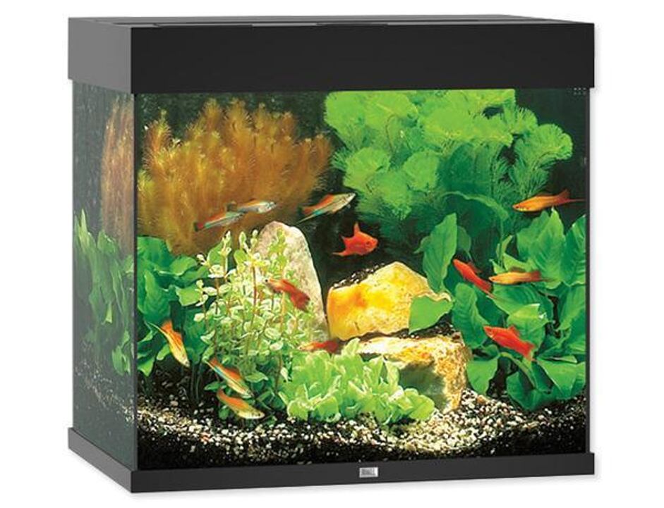 Akvárium set JUWEL Lido LED 120 černé 120l