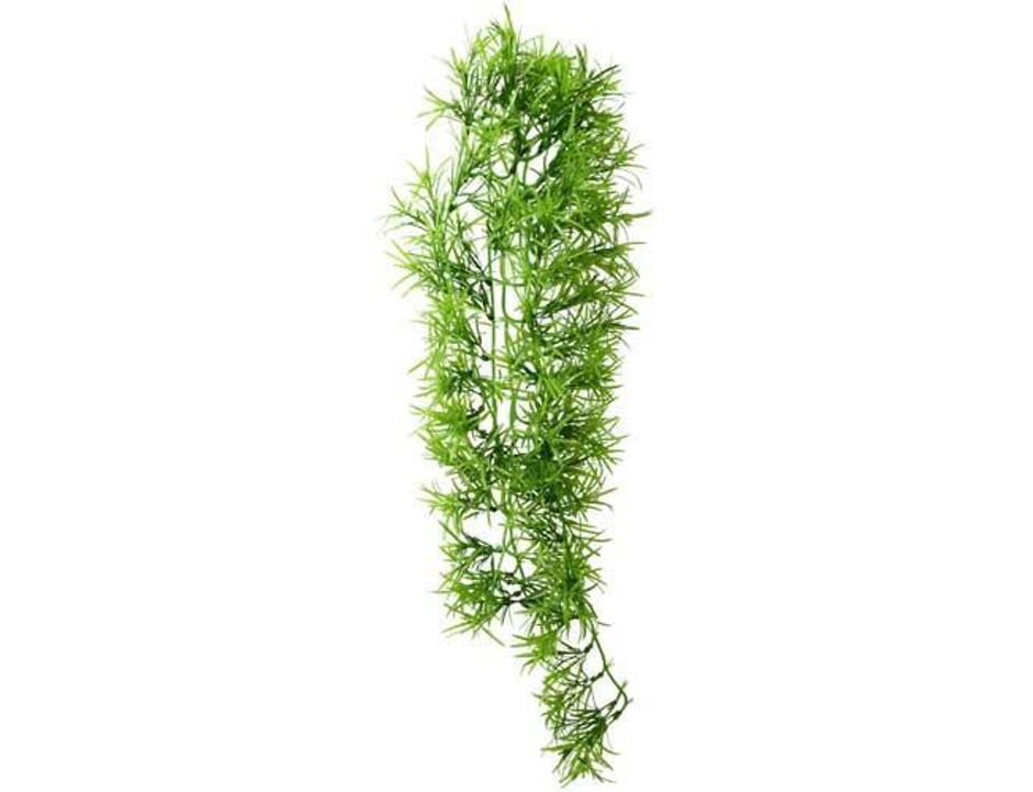Climber Tropica - závěsná 70 cm